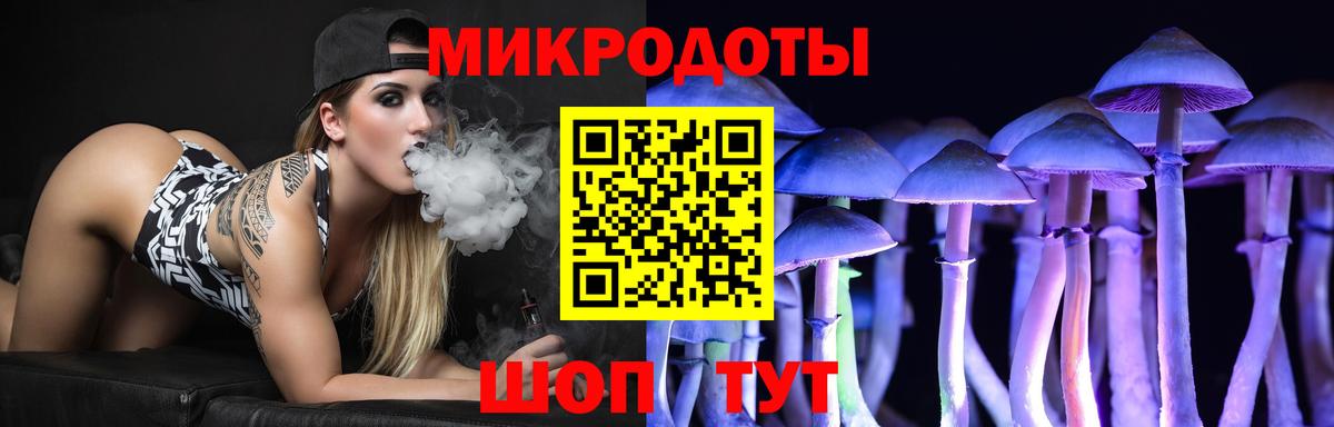 Галлюциногенные грибы Psilocybine cubensis Ливны